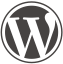 wordpress development