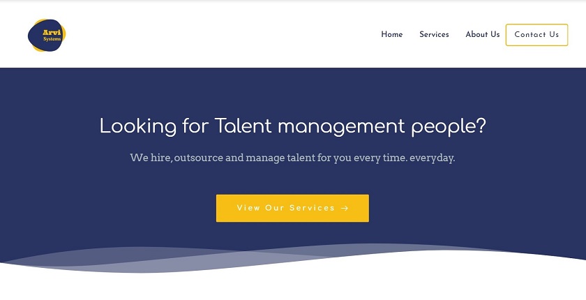 Arvi Systems website