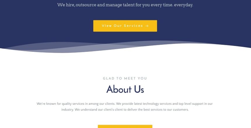 Arvi Systems website